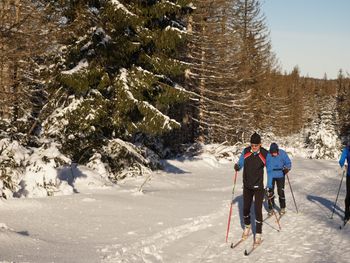 Romantisches Weihnachtsarrangement im Harz 5 Übern.