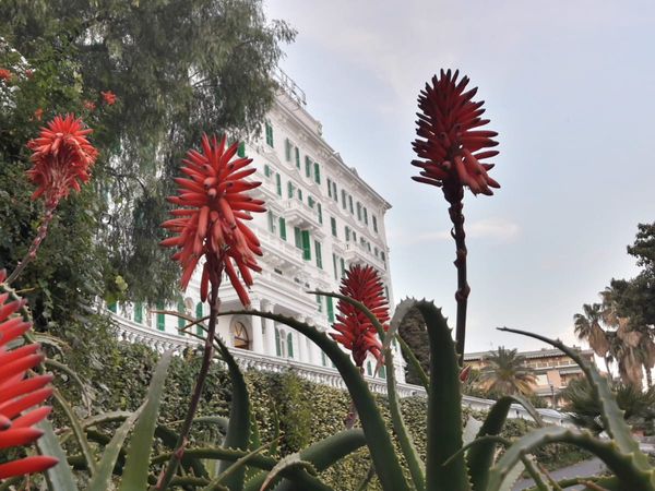 2 Tage Erholung in der Küstenstadt Sanremo, Ligurien inkl. Frühstück