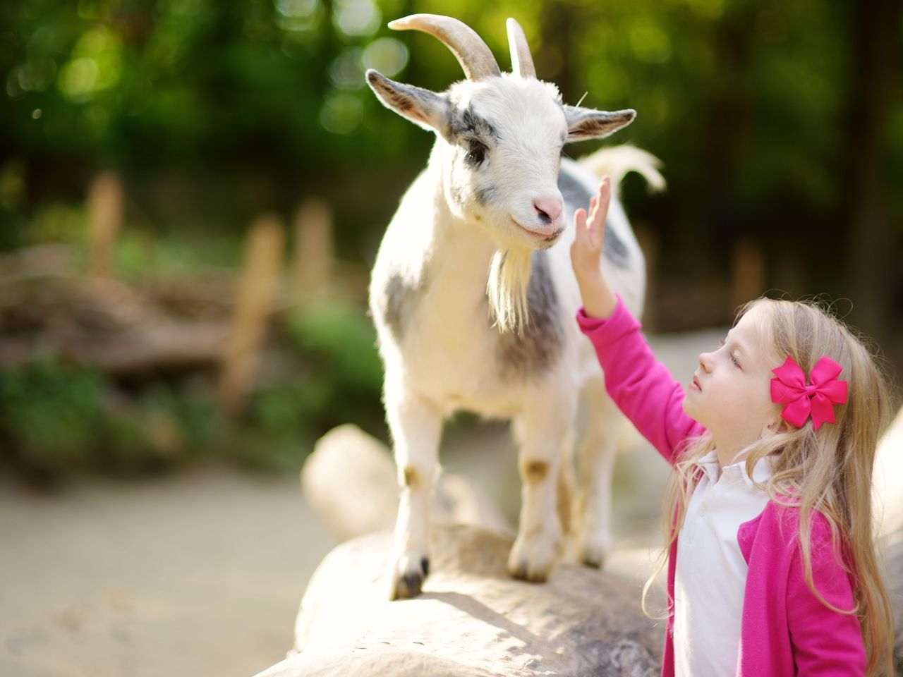 ACHAT Familien-Erlebnis Lüneburger Heide - 5 Tage