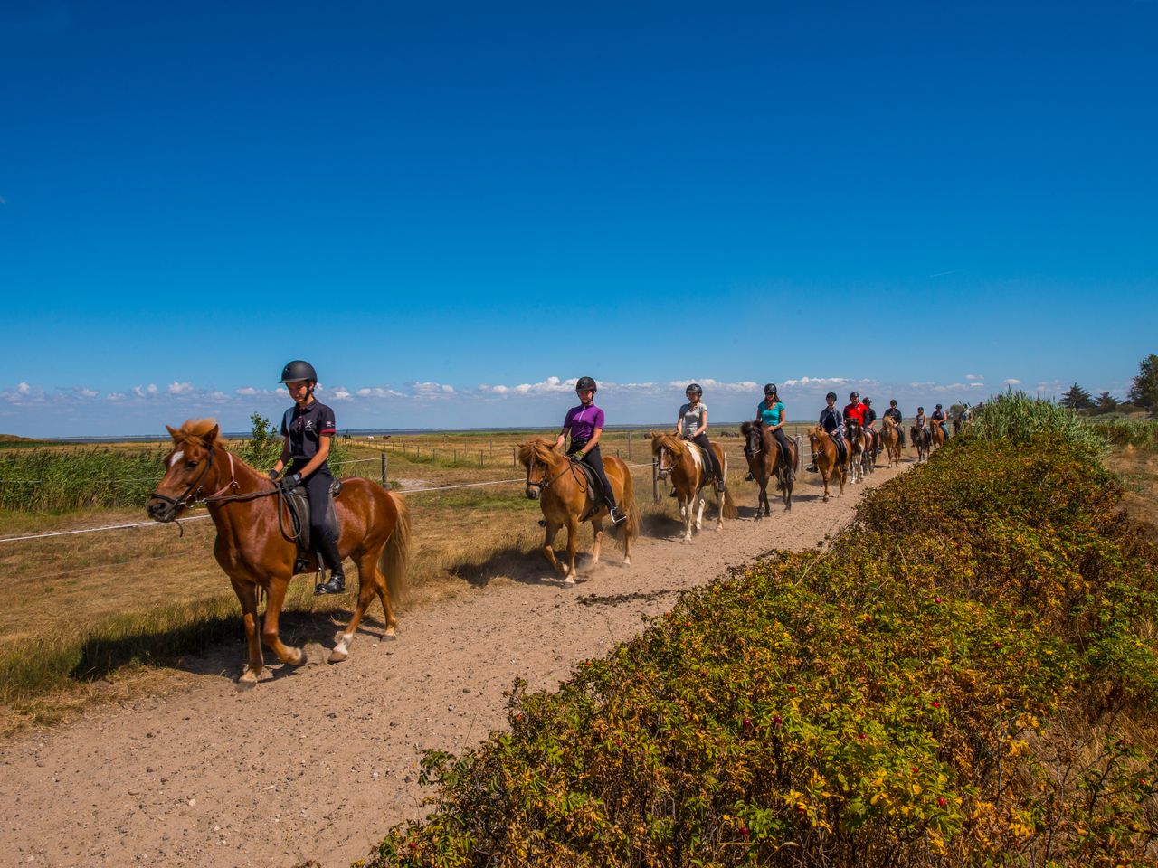 Rømø und Sylt - Nordsee und Wattenmeerurlaub