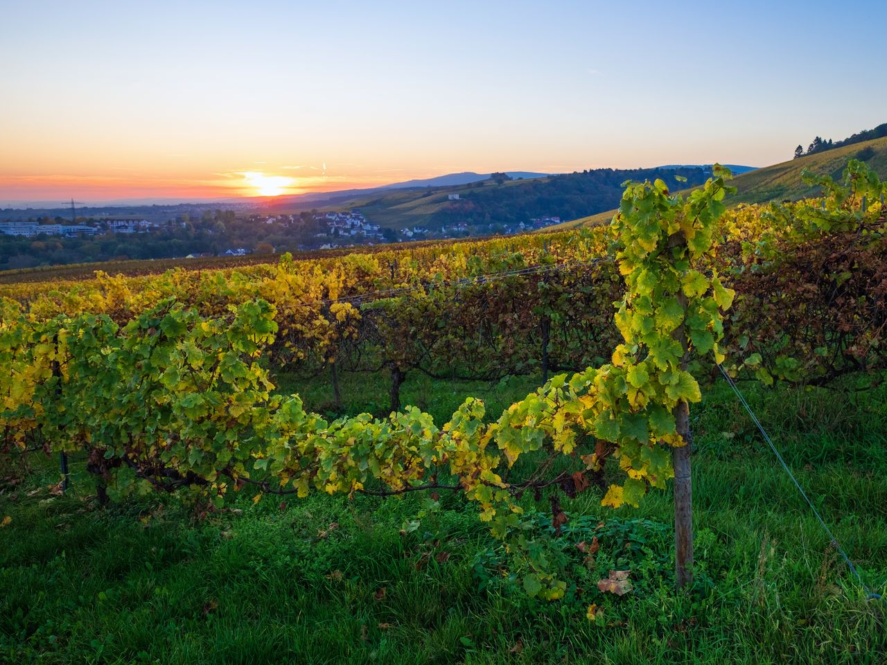 Perpedes im Taunus - Wandern am Limes inkl. HP | 5 Tg