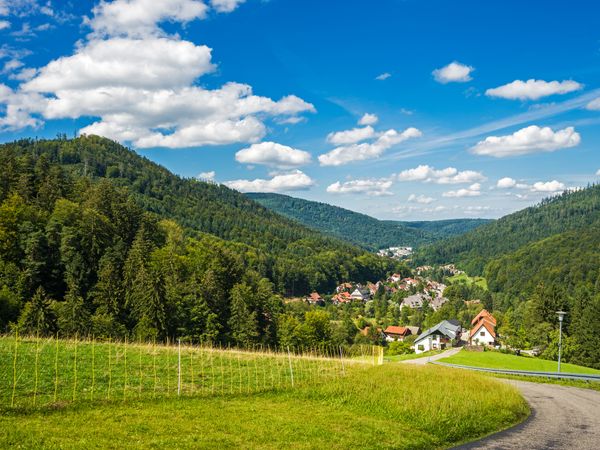 4 Tage Wellnessurlaub im Schwarzwald mit Halbpension in Loßburg, Baden-Württemberg inkl. Halbpension