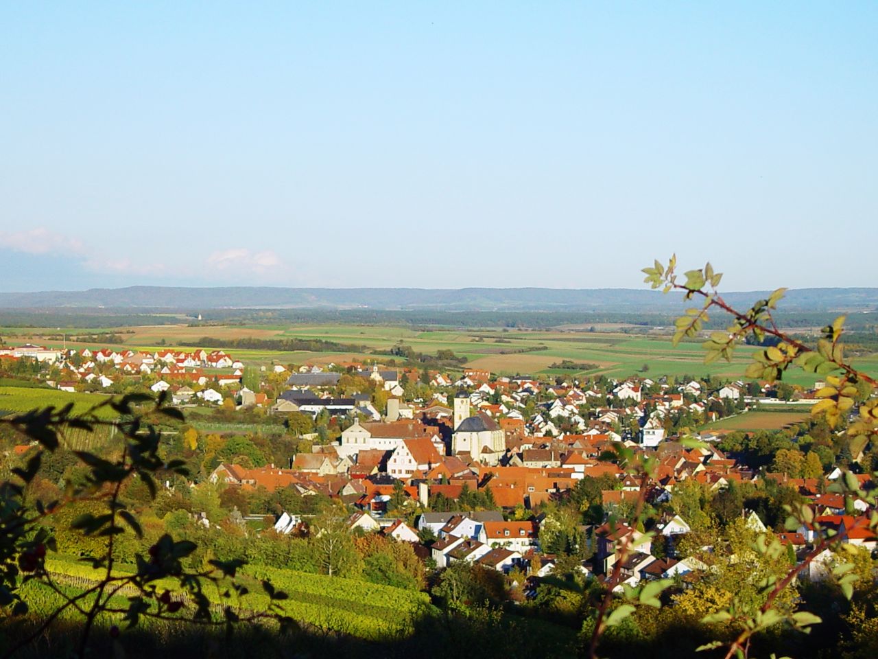 Fränkisches Weinland und Würzburg Special