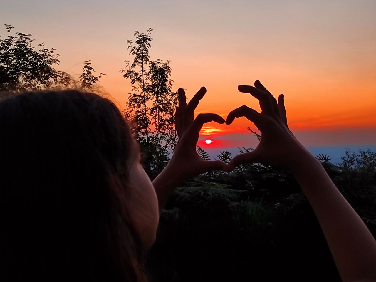 Den Schwarzwald kulinarisch zu Fuß erkunden