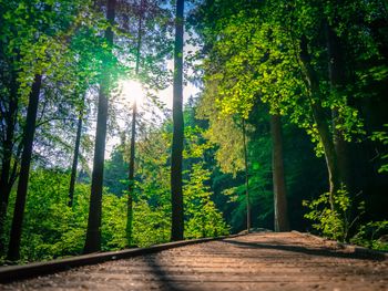 Wanderbarer Bayerischer Wald