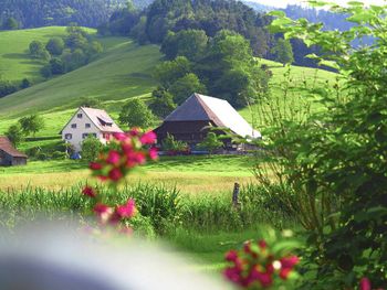 Romantiktage im Schwarzwald