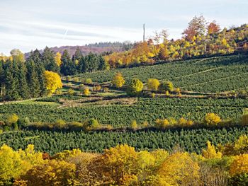 Kurzurlaub - 3 Tage mit HP