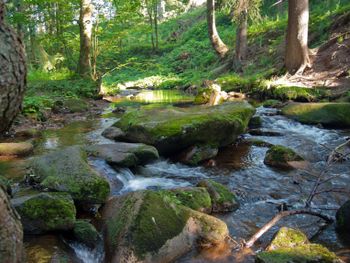 3 Tage Harz-Schnäppchen inkl. Halbpension plus