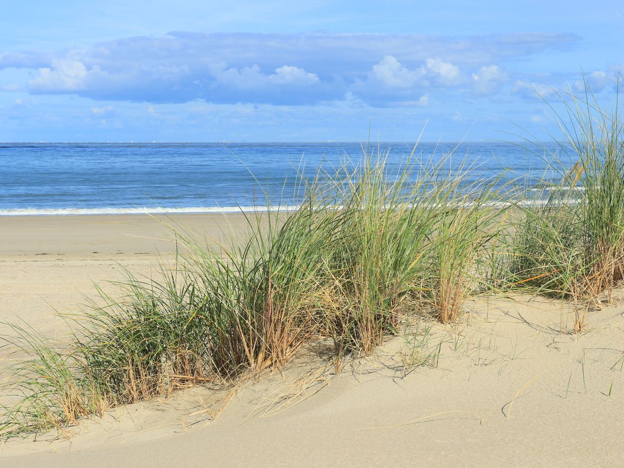 4 Tage Nordsee & Den Haag genießen 