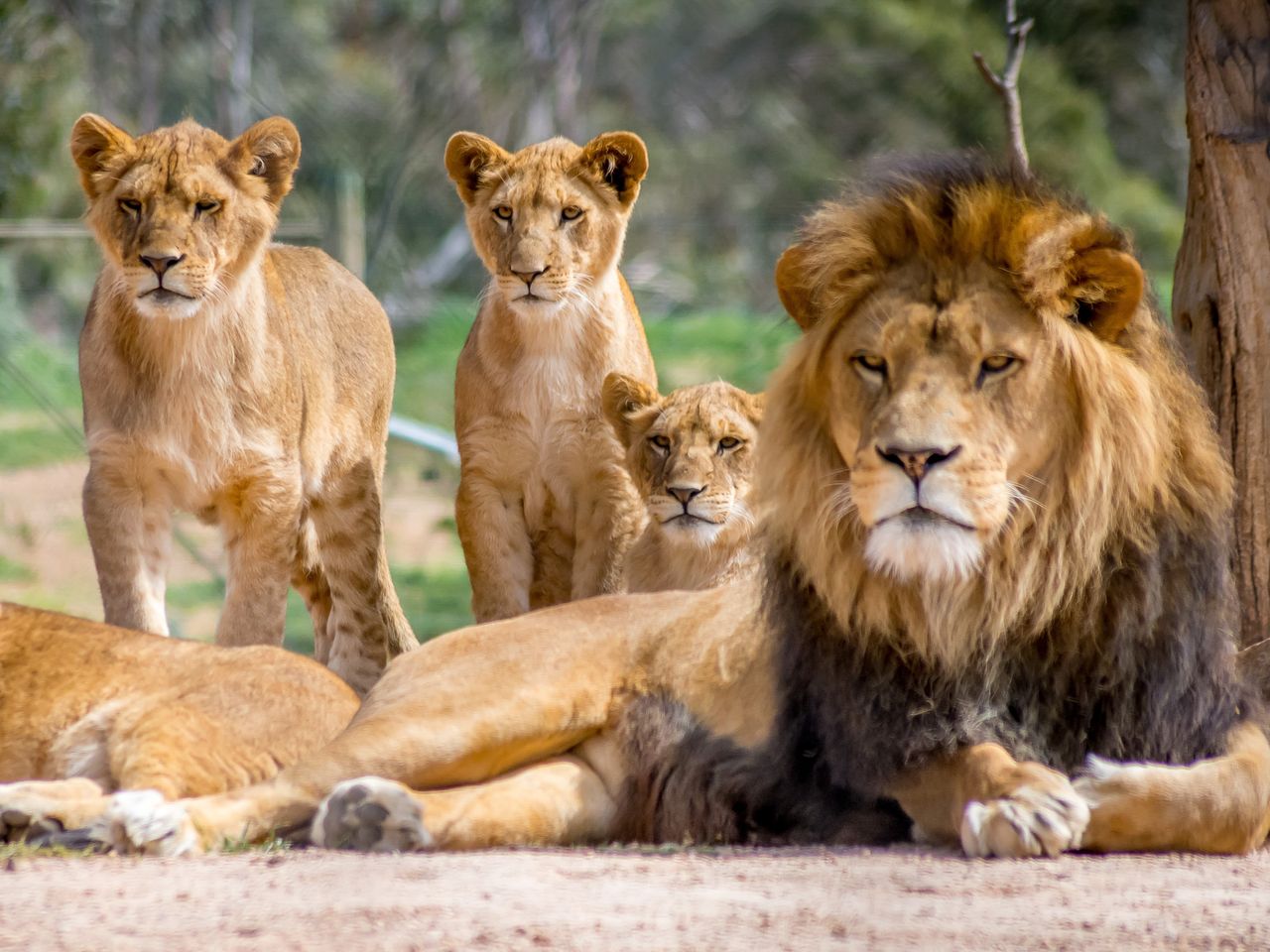 Reise um die Welt - Zoo Leipzig! - 2 Tage