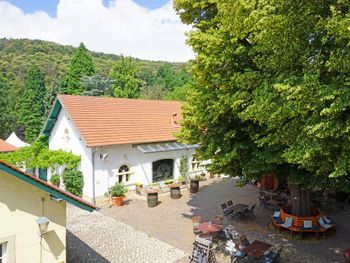 Weinpatenschaft in der Pfalz - Wochenendspecial