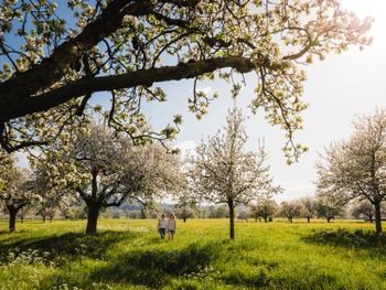 6 Tage Adventszauber am Bodensee