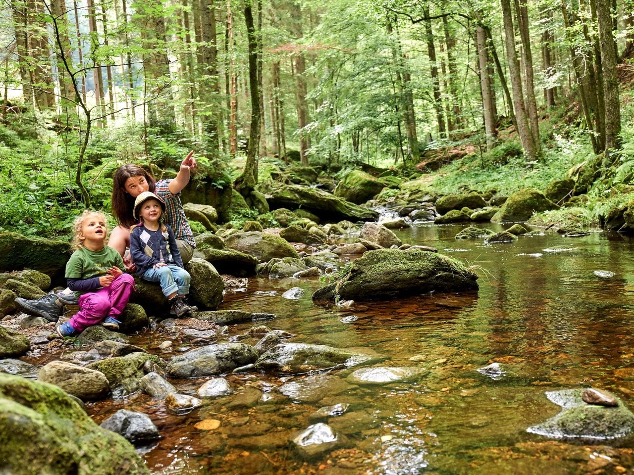 6 Tage Familienzeit im Bayerwald: Naturerlebnisse pur