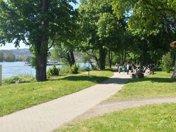 Kurzurlaub am romatischen Rhein