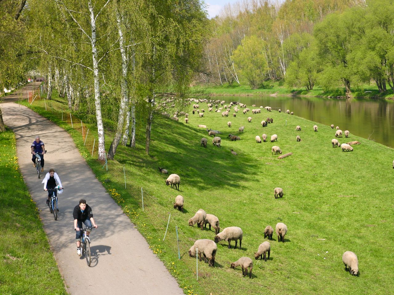 Radtour durch die Region Zwickau