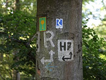 Frühling - Sommer und Herbst am Rhein