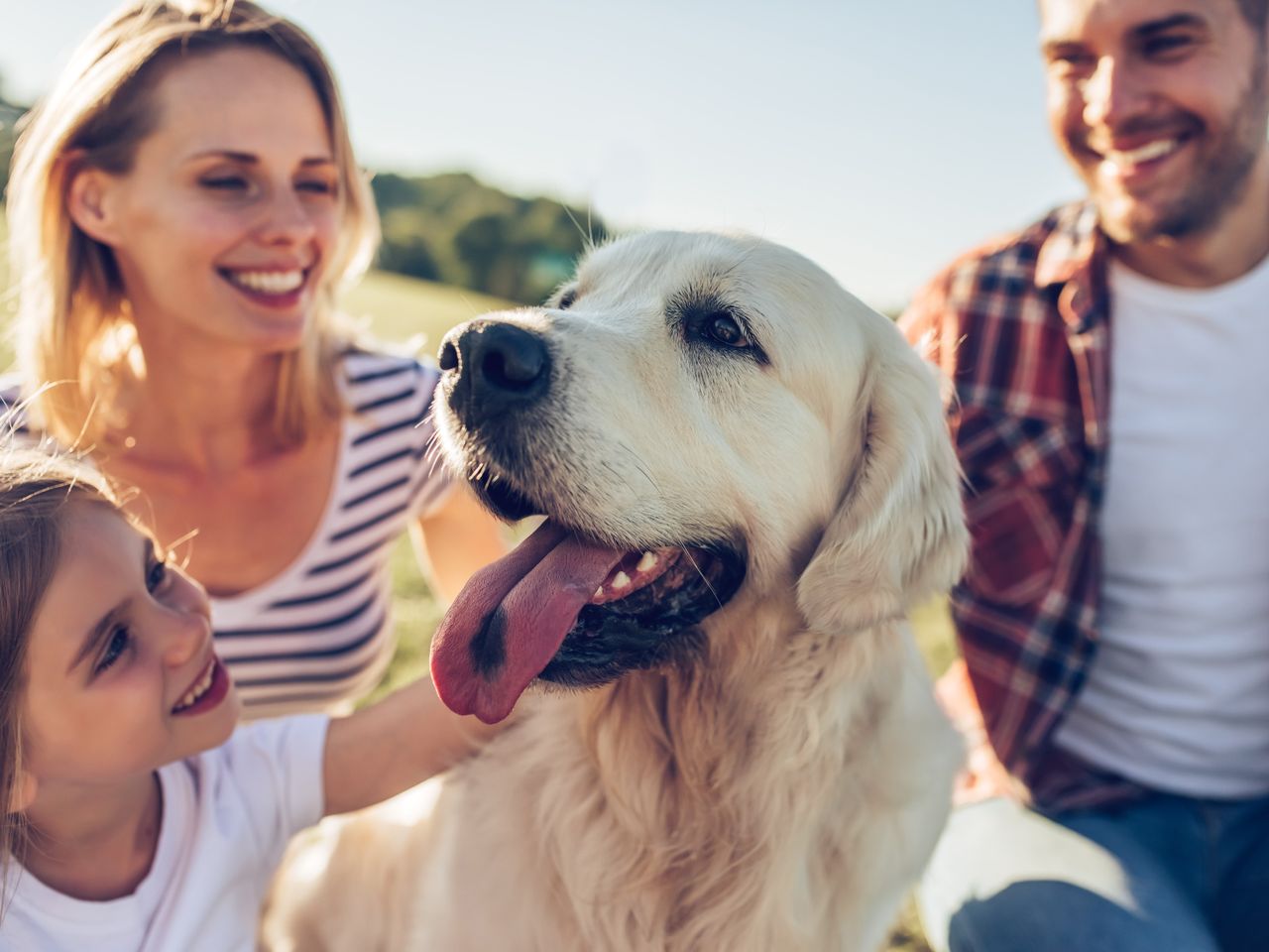 Bergferien mit dem Hund + HP / 4 Tage