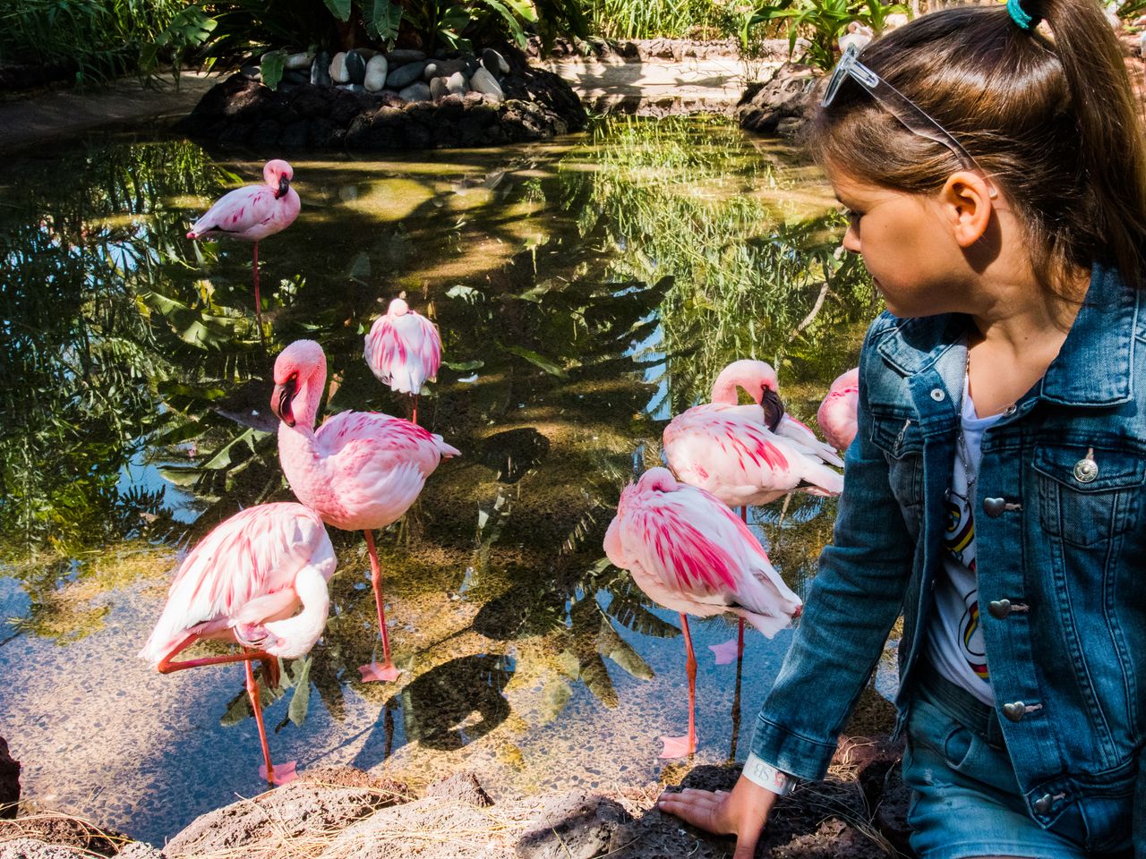 Besuch im Zoo Wuppertal: Ein Tag voller Entdeckungen