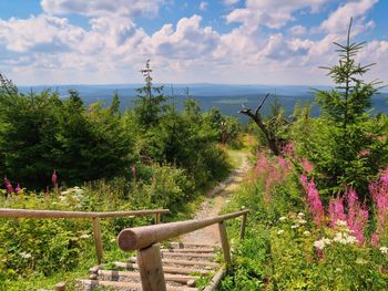 7 Tage im wunderschönen Erzgebirge mit Frühstück