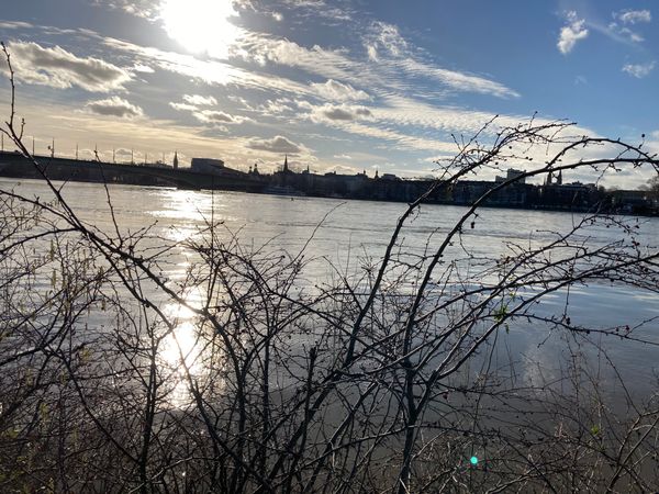 Fahrrad-Tour rund um Bonn und Umgebung H...