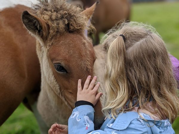 2 Tage Reitwochenende – 2 Nächte in Bad Belzig, Brandenburg inkl. Vollpension