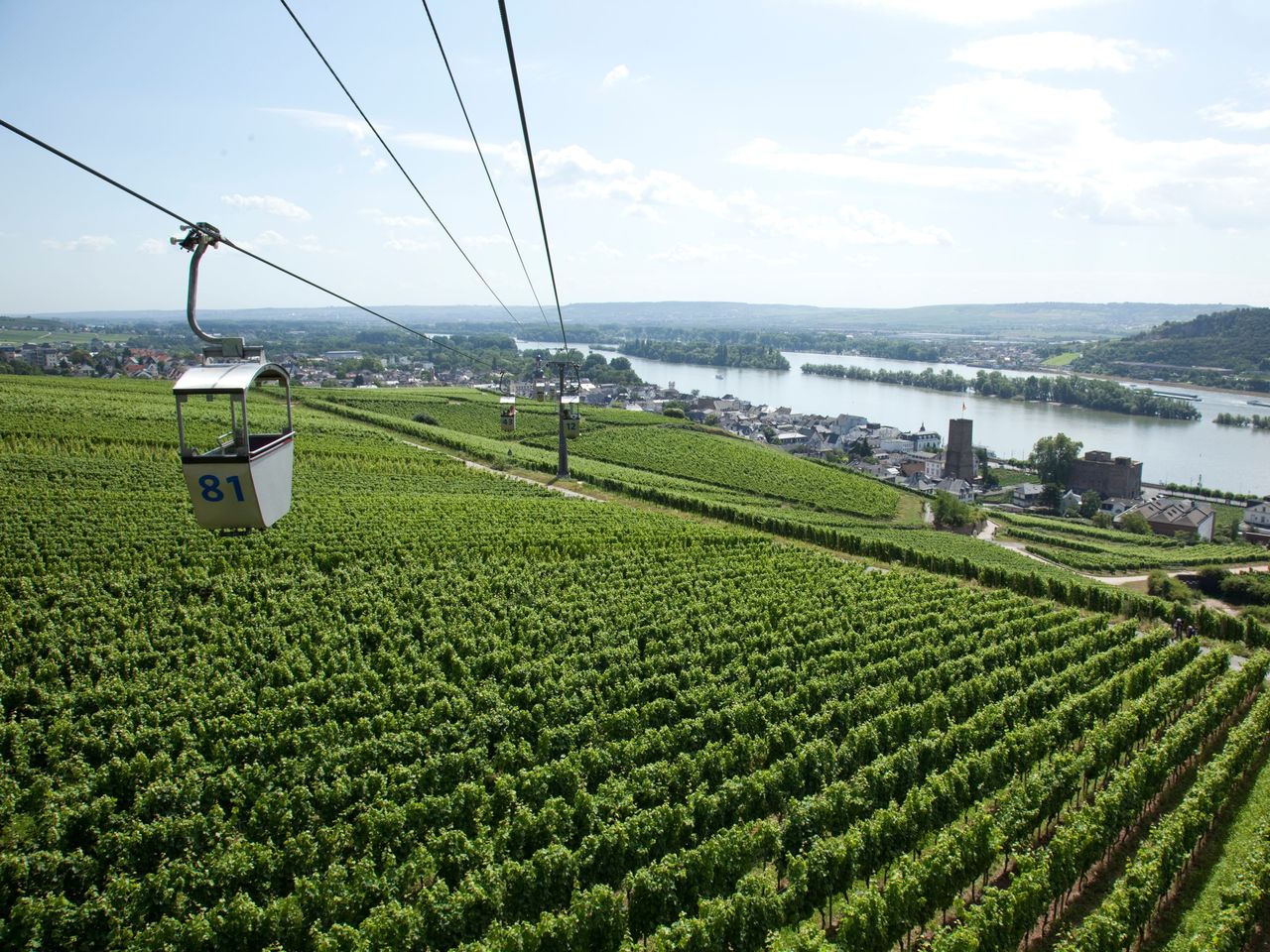Rüdesheim vom Schiff erleben inkl. Weinprobe