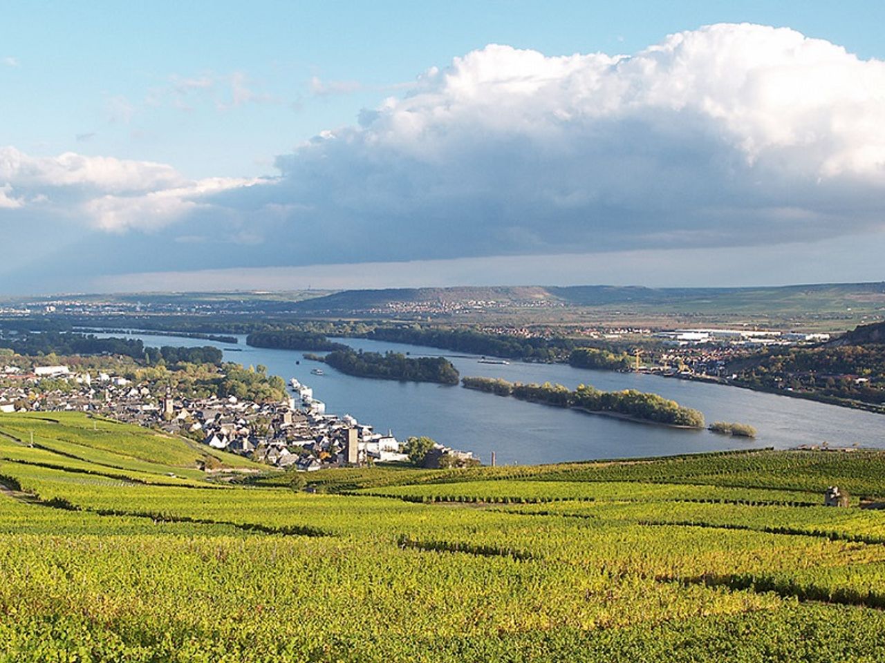 Frühling - Sommer und Herbst am Rhein