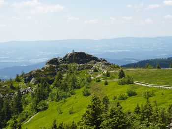 Bayerischer Wald: Achtsamkeitswoche in der Natur