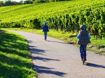 Auszeit am wunderbaren Kaiserstuhl