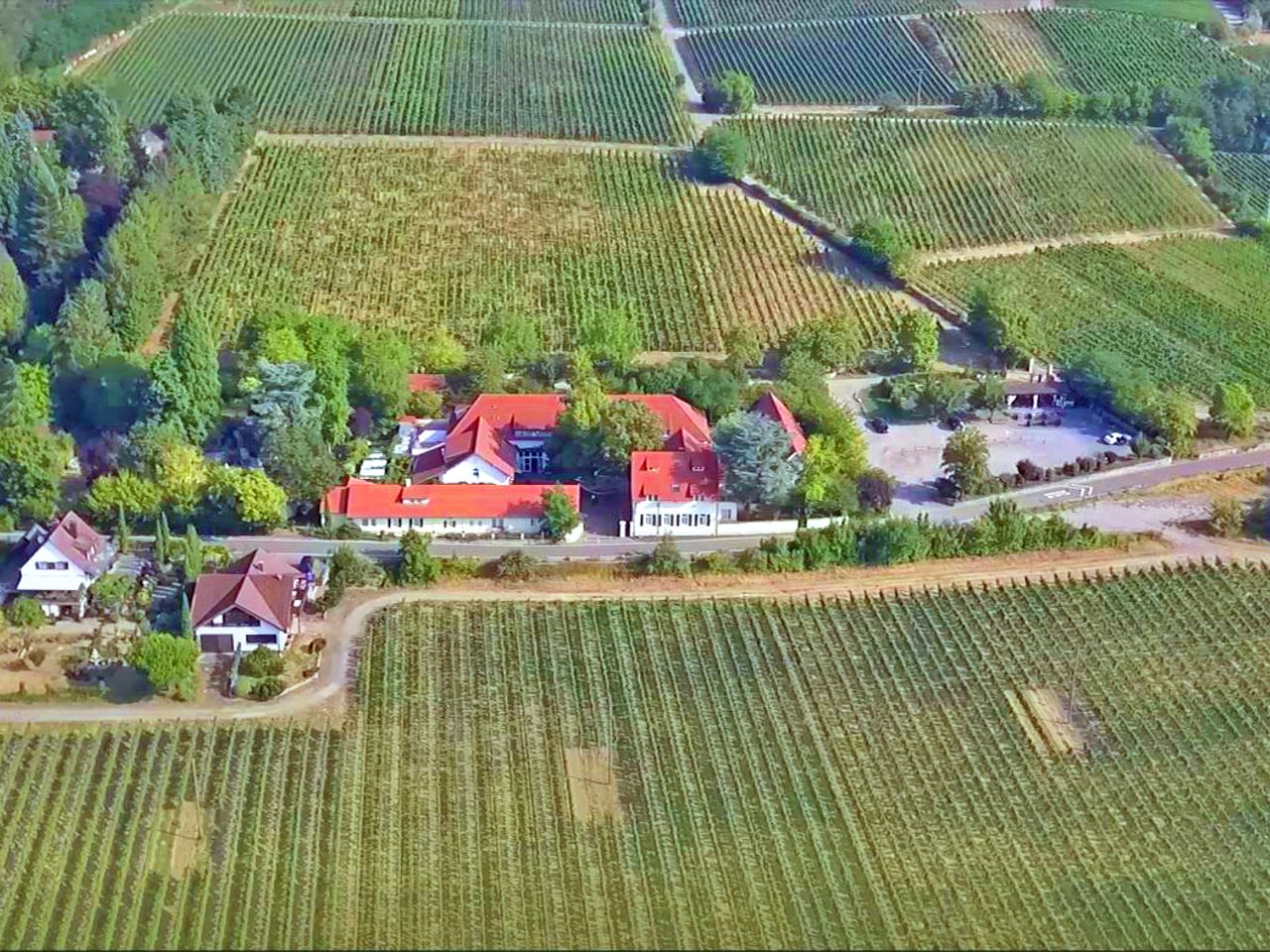 Weinpatenschaft in der Pfalz - Wochenendspecial