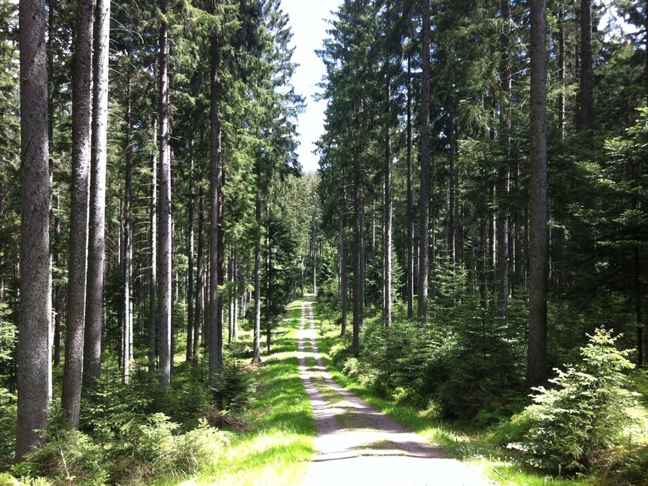 4 Tage Naturgenuss im Schwarzwald