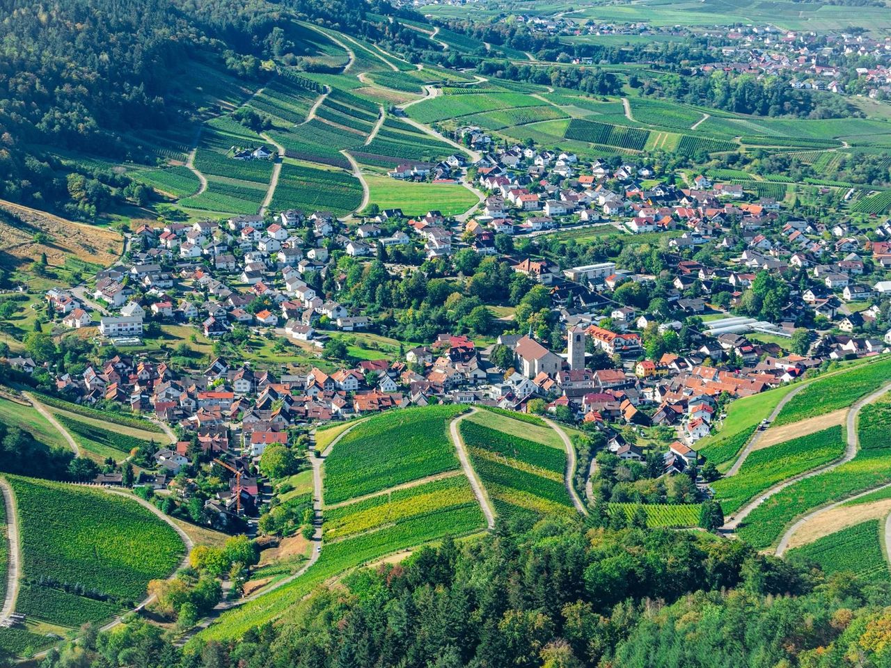 Weinschmecker im Baden-Badener Rebland - 4 Tage