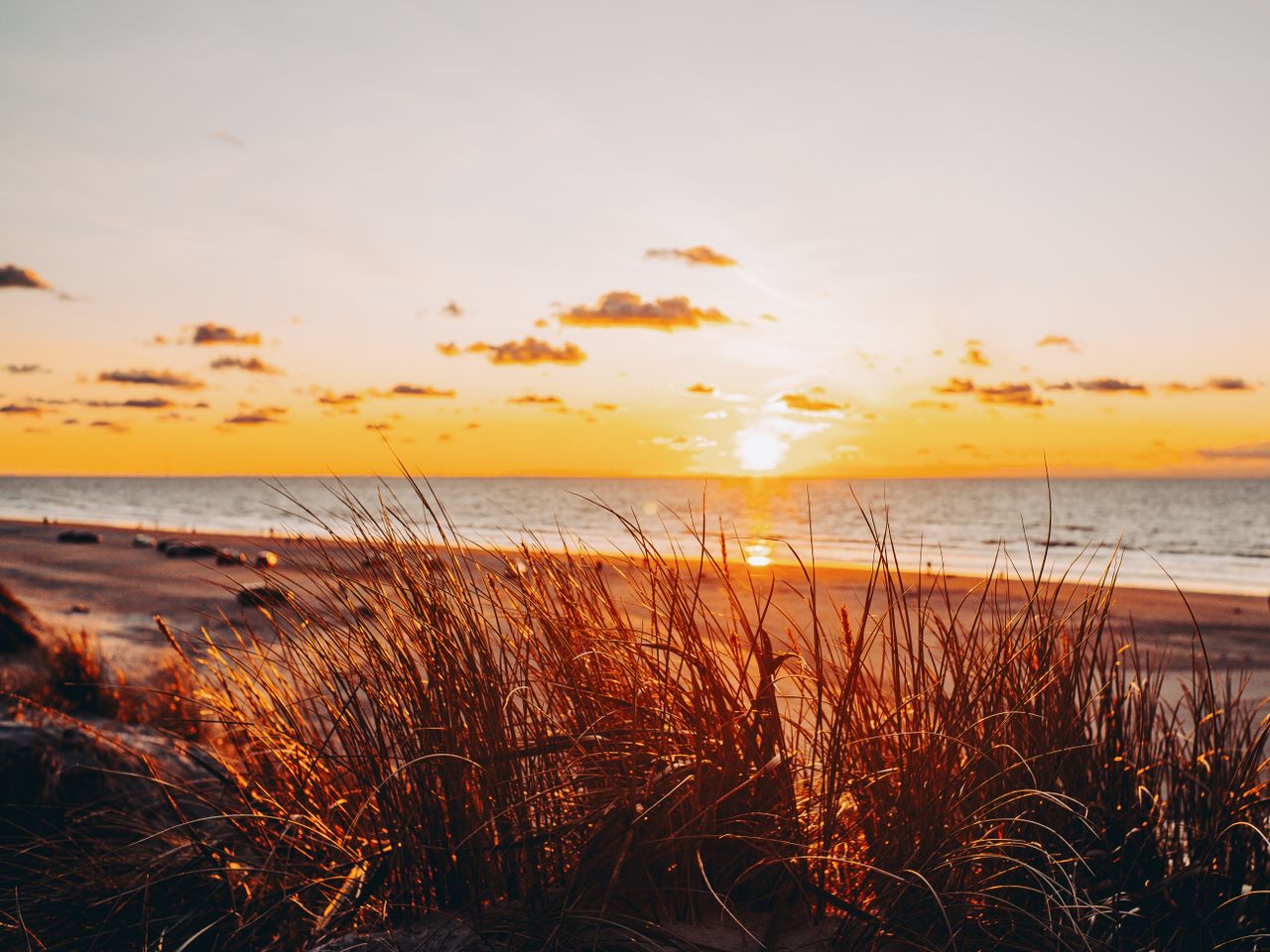 Auf zur schönen Nordsee ! 3 Tage mit Frühstück