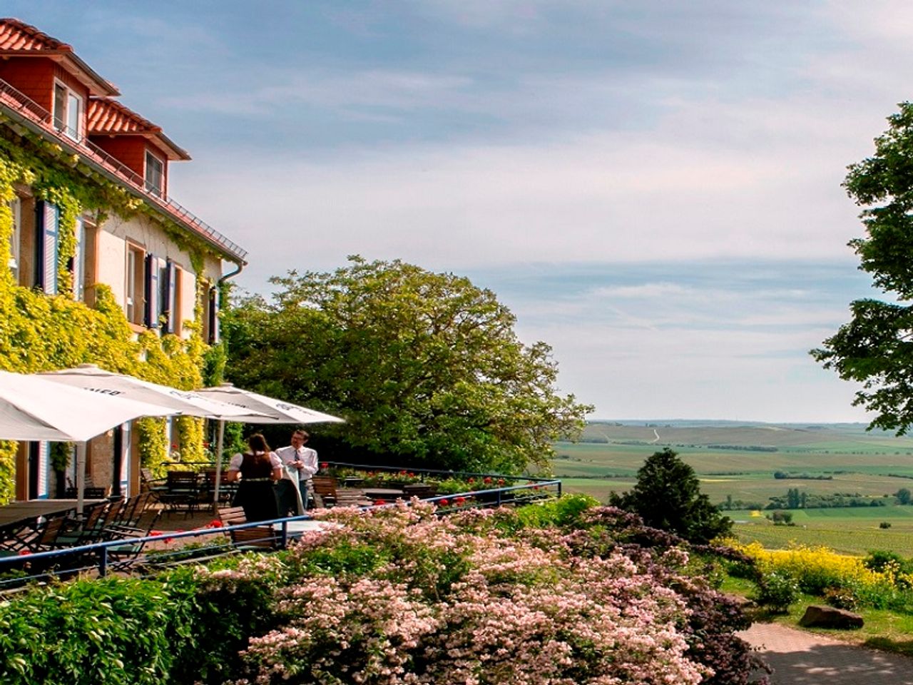 Yoga-Arrangement "Innere Ruhe im Weinberg"