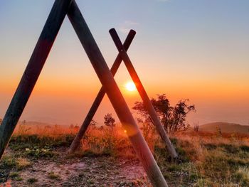 Den Schwarzwald kulinarisch zu Fuß erkunden