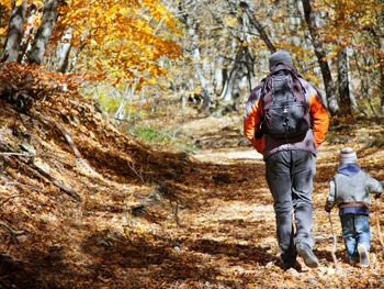 8 Tage Wanderlust im Thüringer Wald mit Halbpension