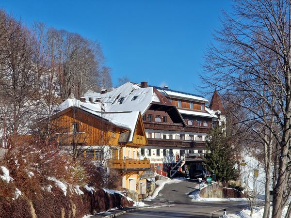 3 Tage Genuss und Wellness in der Steiermark – 2 Nächte in Murau inkl. Halbpension