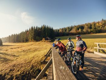 Wochenangebot Blockline - Biken im Erzgebirge