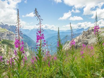 Relax 7 - zahl nur 6 Nächte in den Karnischen Alpen