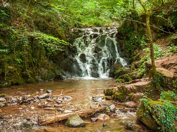 Eifel-Entdecker-Urlaub-5 Tage in Monschau-Rohren, Nordrhein-Westfalen inkl. Halbpension