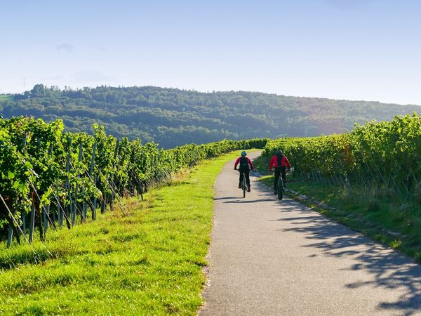 3 Tage Aktivurlaub – mit dem Fahrrad durch die Ortenau in Kehl, Baden-Württemberg inkl. Frühstück