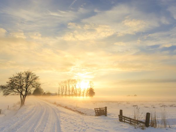 2 Tage – Verwöhnen im Winter für 2 in Meppen, Niedersachsen inkl. Halbpension