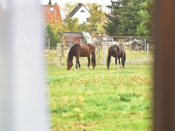 3 Tage Neuruppin- zum Kennenlernen, Brandenburg inkl. Frühstück