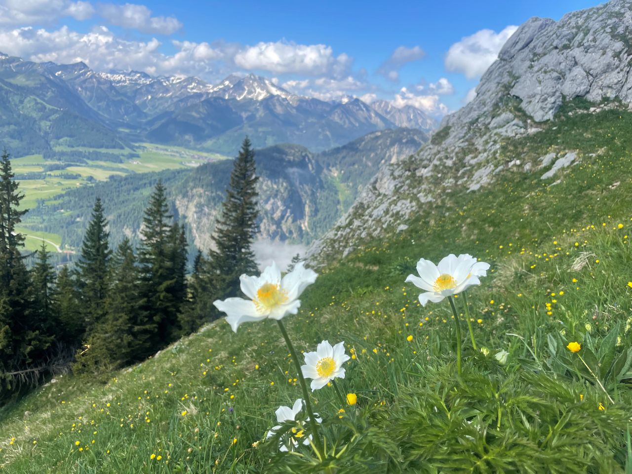 Allgäuer Natur erleben (6 Nächte)