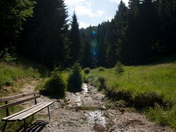 Kurze Auszeit im Thüringer Wald - 3 Tage