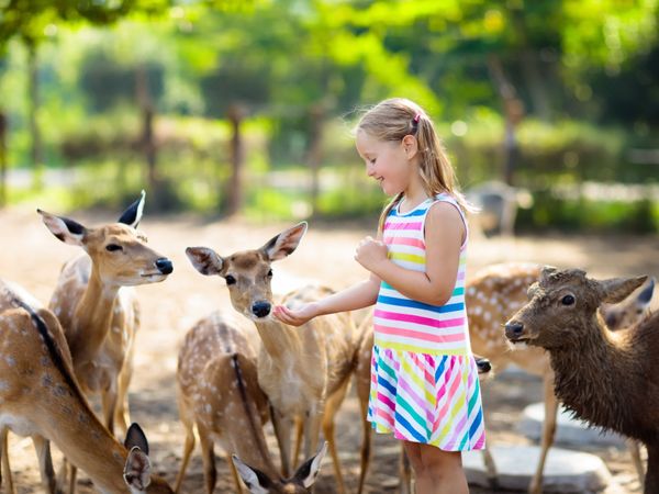 Freizeitpark Lochmühle mit Übernachtung | 4 Tage in Eschborn, Hessen inkl. Frühstück