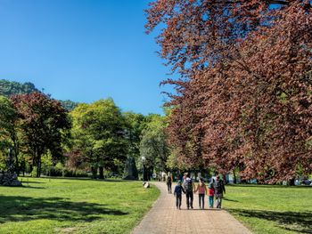 All Inclusive Auszeit - XXL - im malerischen Harz