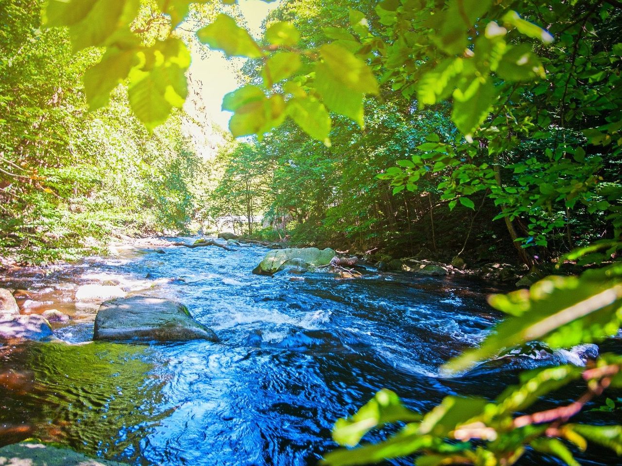 Harz'lich Willkommen - 4 Tage Auszeit im Habichtstein