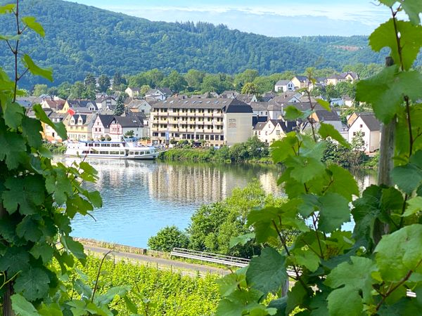 3 Tage - Winterwandern an der Mosel in Löf, Rheinland-Pfalz inkl. Frühstück