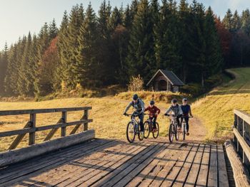 Blockline Quickie - das Bike-Abenteuer im Erzgebirge